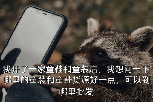 我開了一家童鞋和童裝店，我想問一下哪里的童裝和童鞋貨源好一點，可以到哪里批發