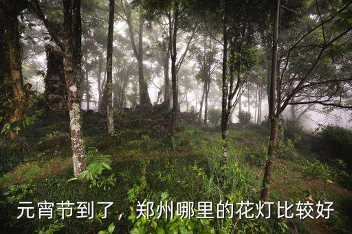 燈展鄭州哪里有,鄭州哪里的花燈比較好