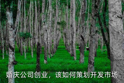 在鄭州創業開婚慶公司怎么樣,婚慶公司創業