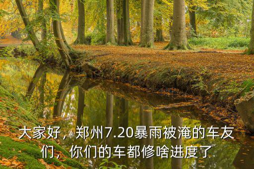 大家好，鄭州7.20暴雨被淹的車友們，你們的車都修啥進度了