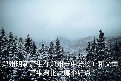 鄭州明新高中（鄭州一中分校）和文博高中對比，哪個好點