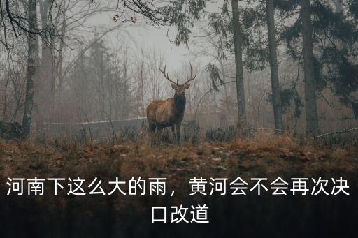 河南下這么大的雨，黃河會不會再次決口改道