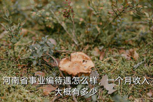河南省事業編待遇怎么樣，一個月收入大概有多少