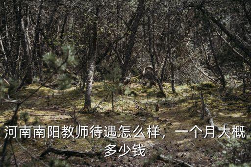 河南南陽教師待遇怎么樣，一個月大概多少錢