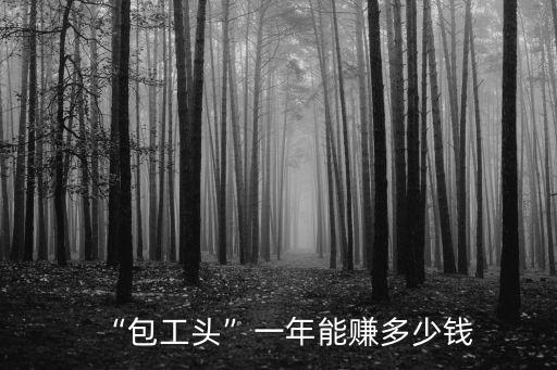 “包工頭”一年能賺多少錢