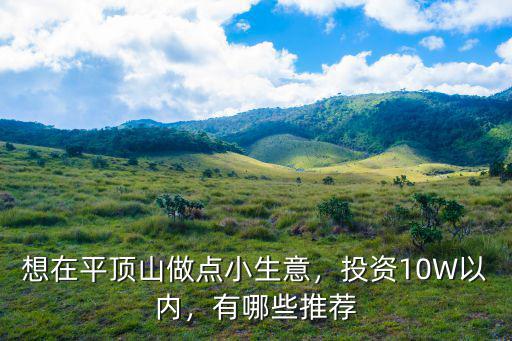 想在平頂山做點小生意，投資10W以內(nèi)，有哪些推薦
