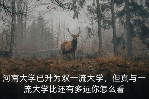 河南大學稅號怎么查,河南大學怎么樣