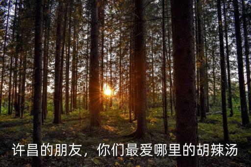 許昌的朋友，你們最愛哪里的胡辣湯