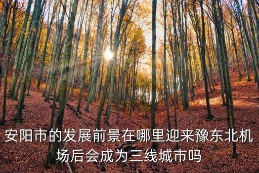 安陽市的發展前景在哪里迎來豫東北機場后會成為三線城市嗎
