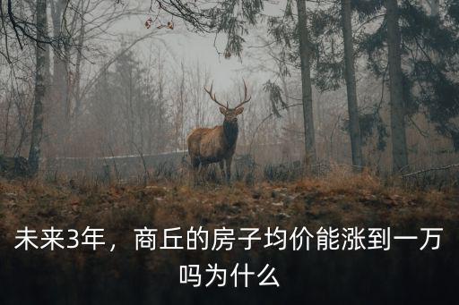 未來3年，商丘的房子均價能漲到一萬嗎為什么