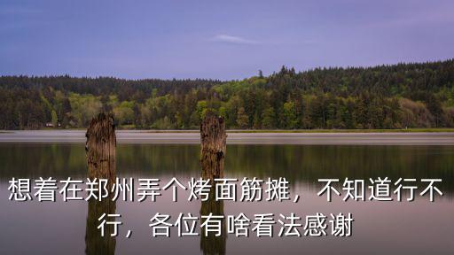 想著在鄭州弄個烤面筋攤，不知道行不行，各位有啥看法感謝