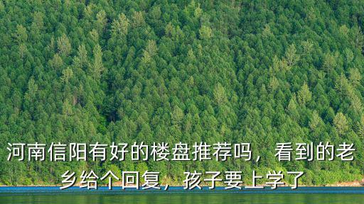 河南信陽有好的樓盤推薦嗎，看到的老鄉(xiāng)給個回復(fù)，孩子要上學(xué)了