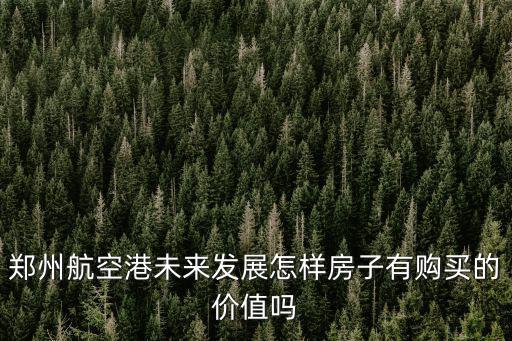 鄭州航空港未來發(fā)展怎樣房子有購買的價值嗎