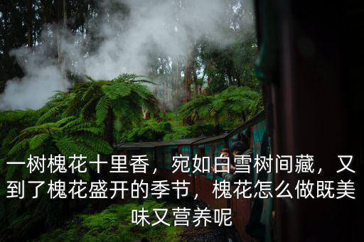 一樹槐花十里香，宛如白雪樹間藏，又到了槐花盛開的季節(jié)，槐花怎么做既美味又營養(yǎng)呢