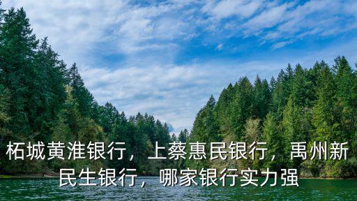 柘城黃淮銀行，上蔡惠民銀行，禹州新民生銀行，哪家銀行實力強