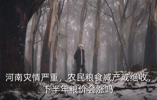 現(xiàn)在河南南災(zāi)情怎么樣,河南災(zāi)情嚴(yán)重