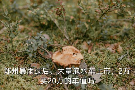 鄭州暴雨過后，大量泡水車上市，2萬買20萬的車值嗎