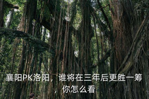 襄陽PK洛陽，誰將在三年后更勝一籌，你怎么看