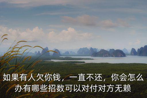 如果有人欠你錢，一直不還，你會怎么辦有哪些招數可以對付對方無賴
