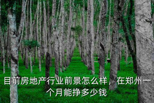 目前房地產行業前景怎么樣，在鄭州一個月能掙多少錢