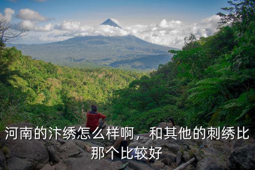 河南的汴繡怎么樣啊，和其他的刺繡比那個比較好