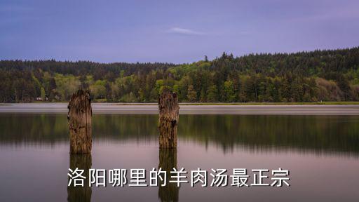 洛陽(yáng)哪里的羊肉湯最正宗