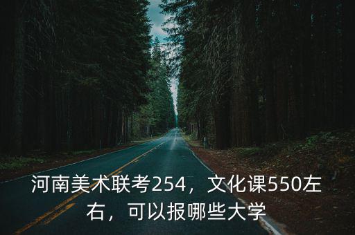 河南美術聯考254，文化課550左右，可以報哪些大學