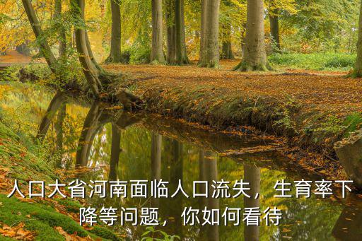 人口大省河南面臨人口流失，生育率下降等問題，你如何看待