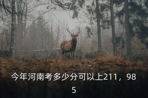 今年河南考多少分可以上211，985