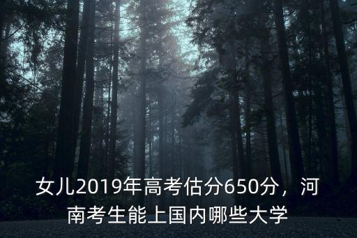 女兒2019年高考估分650分，河南考生能上國內哪些大學