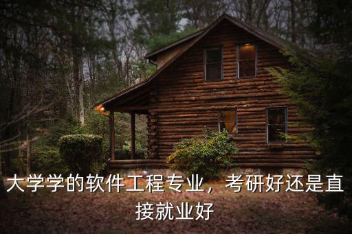 大學學的軟件工程專業，考研好還是直接就業好