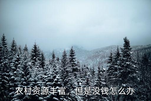 農村資源豐富，但是沒錢怎么辦