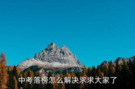中考落榜怎么解決求求大家了