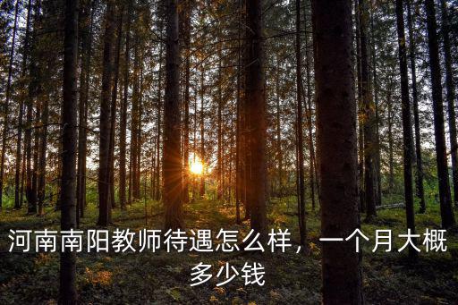 河南南陽(yáng)教師待遇怎么樣，一個(gè)月大概多少錢(qián)