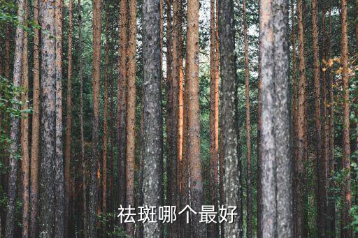 祛斑哪個最好