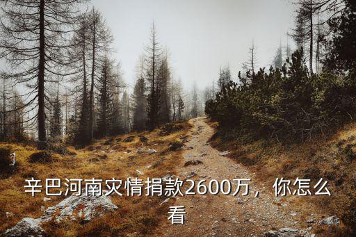 河南災(zāi)情蒙牛捐款多少,面對河南災(zāi)情