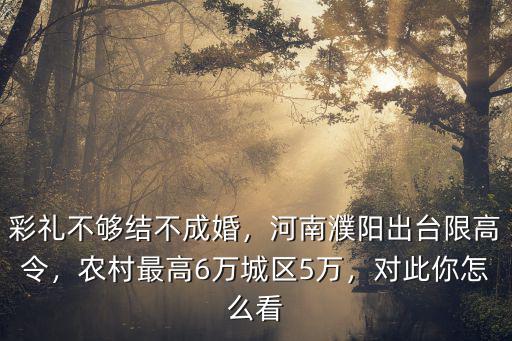 彩禮不夠結不成婚，河南濮陽出臺限高令，農村最高6萬城區5萬，對此你怎么看