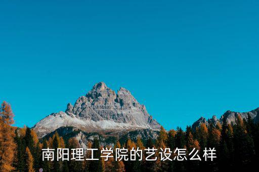 南陽理工學(xué)院的藝設(shè)怎么樣