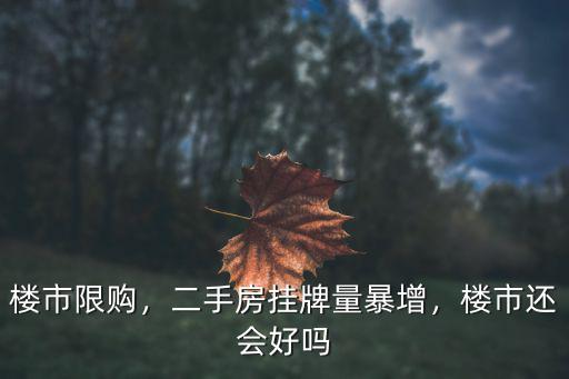 許昌二手房掛牌量增加多少,二手房掛牌量暴增