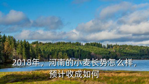 2018年，河南的小麥長勢(shì)怎么樣，預(yù)計(jì)收成如何