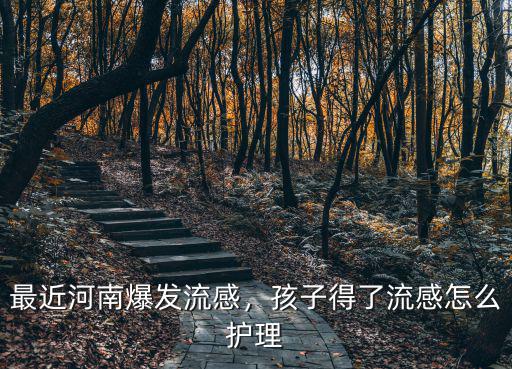 最近河南爆發流感，孩子得了流感怎么護理