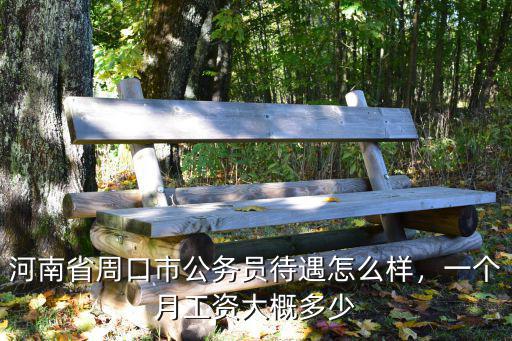 河南省省直公務(wù)員工資收入怎么樣,一個月工資大概多少