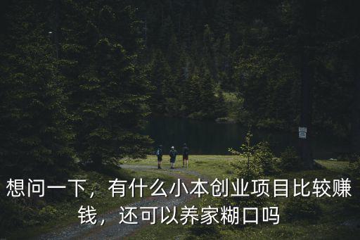 河南怎么小本創業,在縣城小本創業