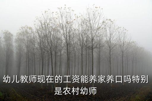 洛陽幼師工資最多多少,特別是農村幼師