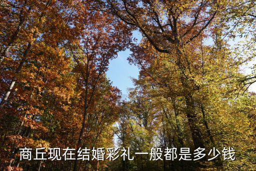 河南民權結婚彩禮一般多少錢,河南哪的彩禮最高