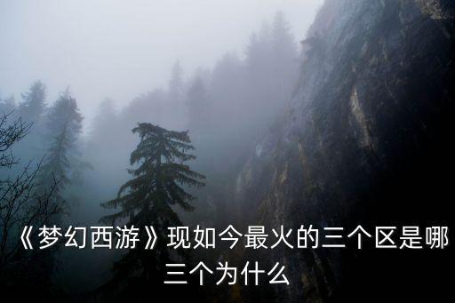 《夢幻西游》現如今最火的三個區是哪三個為什么