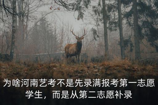 河南1藝術(shù)生怎么補(bǔ)錄,藝術(shù)生沒被學(xué)校錄上怎么辦