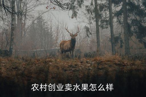 農(nóng)村創(chuàng)業(yè)賣水果怎么樣