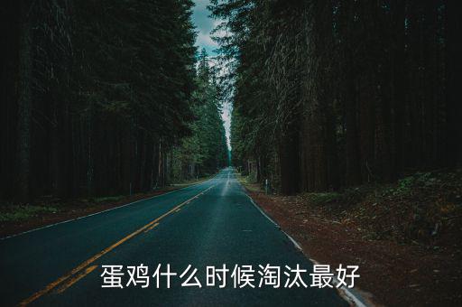 蛋雞什么時候淘汰最好