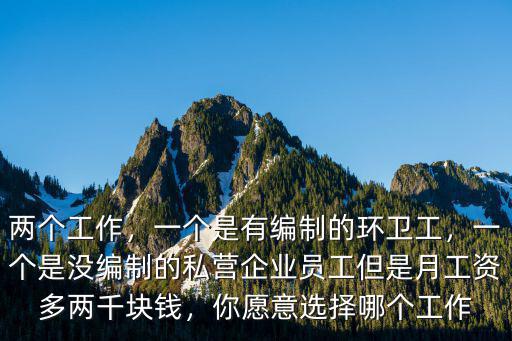 兩個工作，一個是有編制的環衛工，一個是沒編制的私營企業員工但是月工資多兩千塊錢，你愿意選擇哪個工作